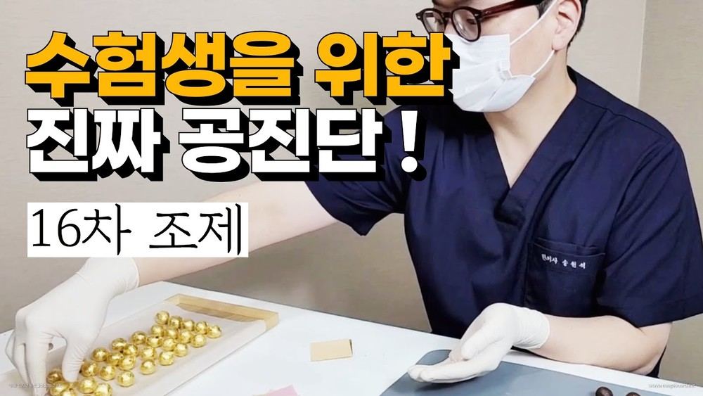 수험생 공진단 — 사향 16차 조제